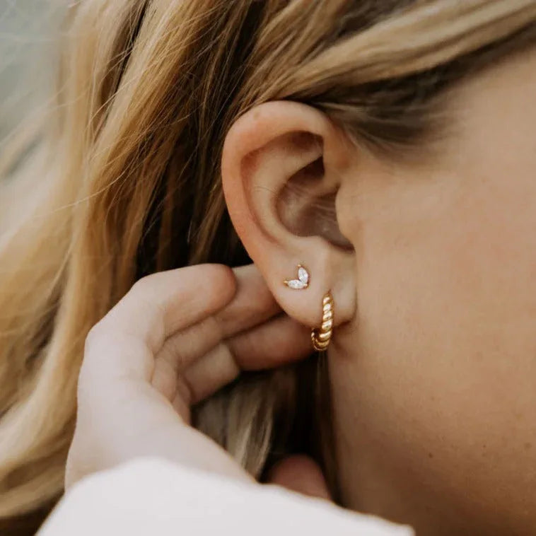 IMG_3556 - Dream Dragons