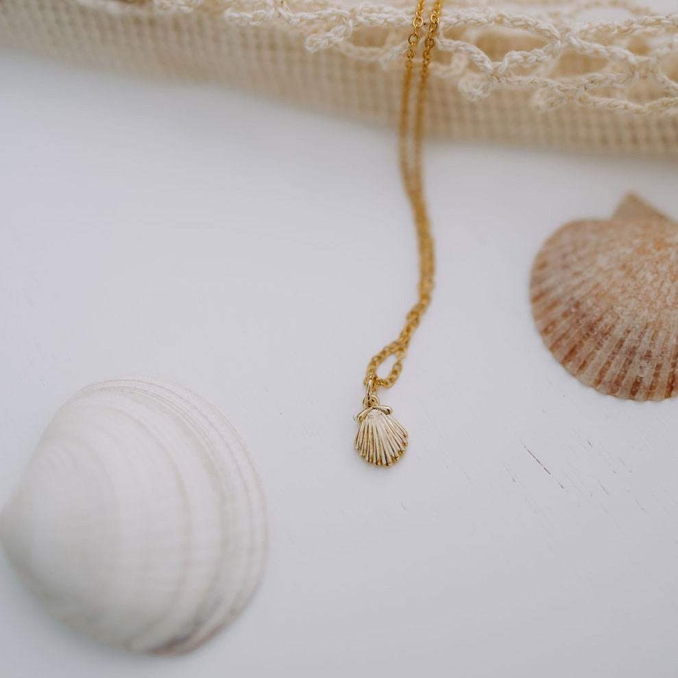 Gold chain sea shell necklace with a small ridged shell pendant