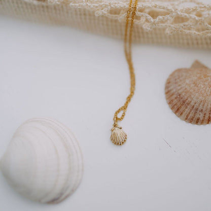 Gold chain sea shell necklace with a small ridged shell pendant