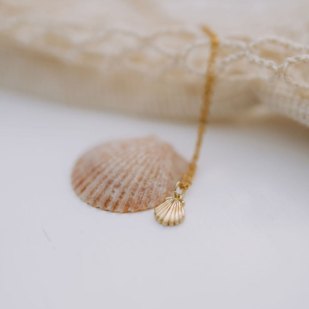 Close-up of a gold necklace with a ridged shell pendant