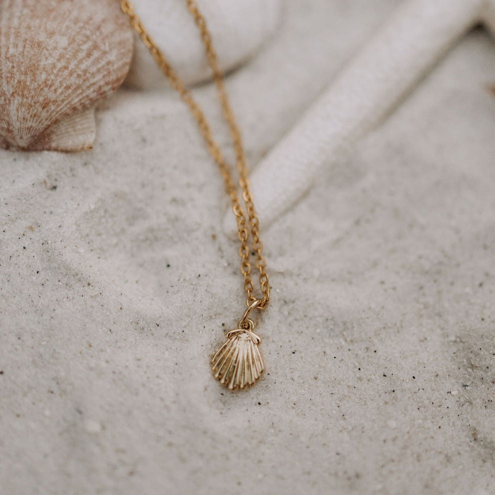 Gold chain and ridged shell pendant shown close up