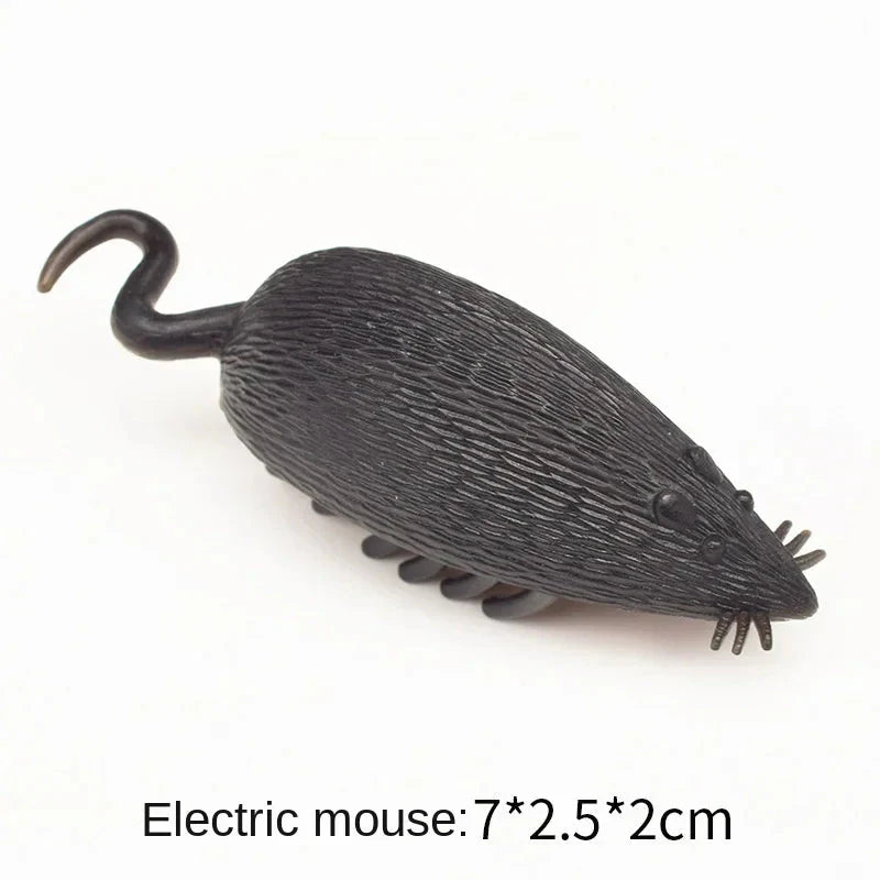 Interactive Mini Electric Bug Cat Toy – Battery Operated Flip Beetle