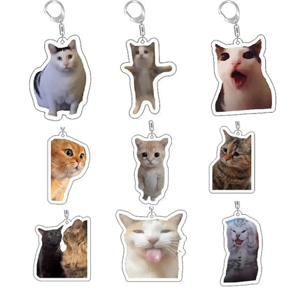 Cat face keychain with silver ring and lobster clasp; assorted cartoon cat designs.