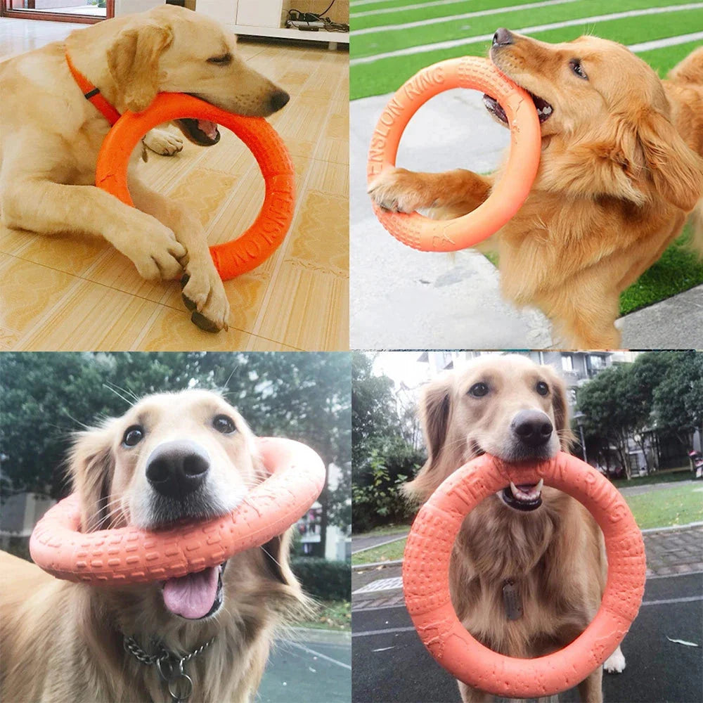 Durable dog ring toy collage: orange and pink textured rings for chewing and fetch
