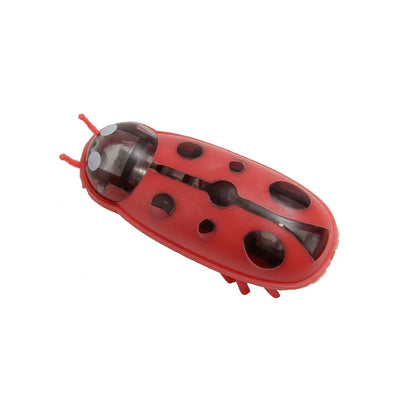 Interactive Mini Electric Bug Cat Toy – Battery Operated Flip Beetle