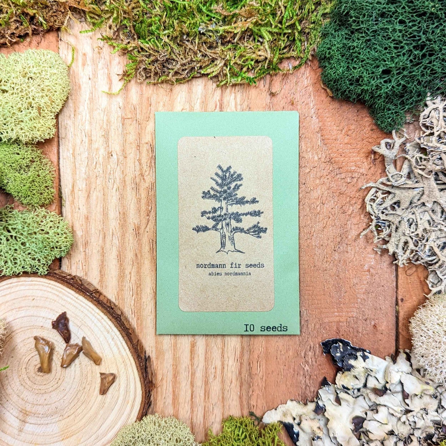 Nordmann fir seed packet on mossy wood log, '10 seeds' label visible