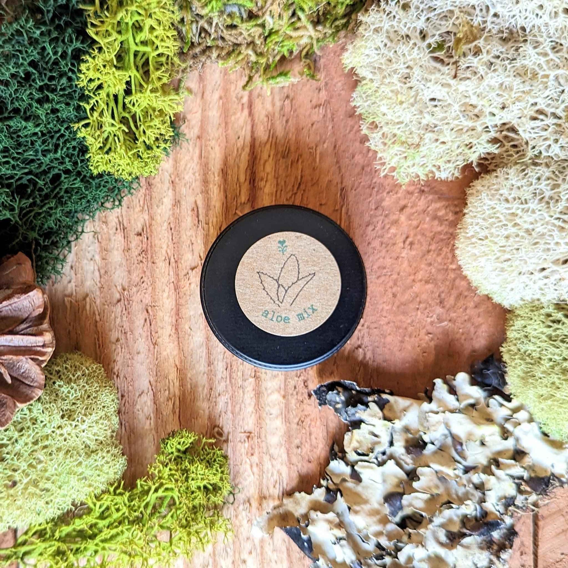 Aloe mix seeds tin on mossy surface, round black lid with aloe label