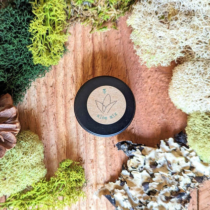 Aloe mix seeds tin on mossy surface, round black lid with aloe label