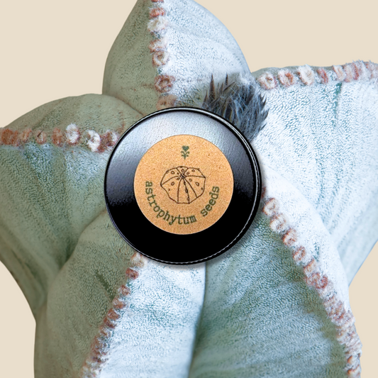 Astrophytum Mix "Star Cactus" Seeds