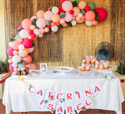 Blush Balloon Garland Kit