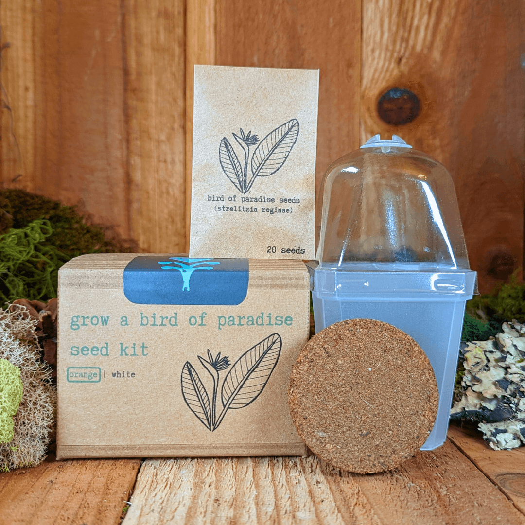 Bird of paradise seed kit front box with seed packet card and round soil pod