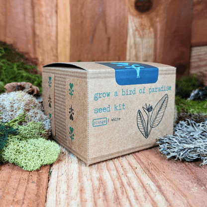 Bird of paradise seed kit box angled view with orange and white option markers