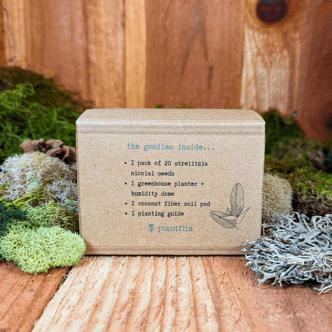 Bird of paradise seed kit back panel with contents list and plant logo