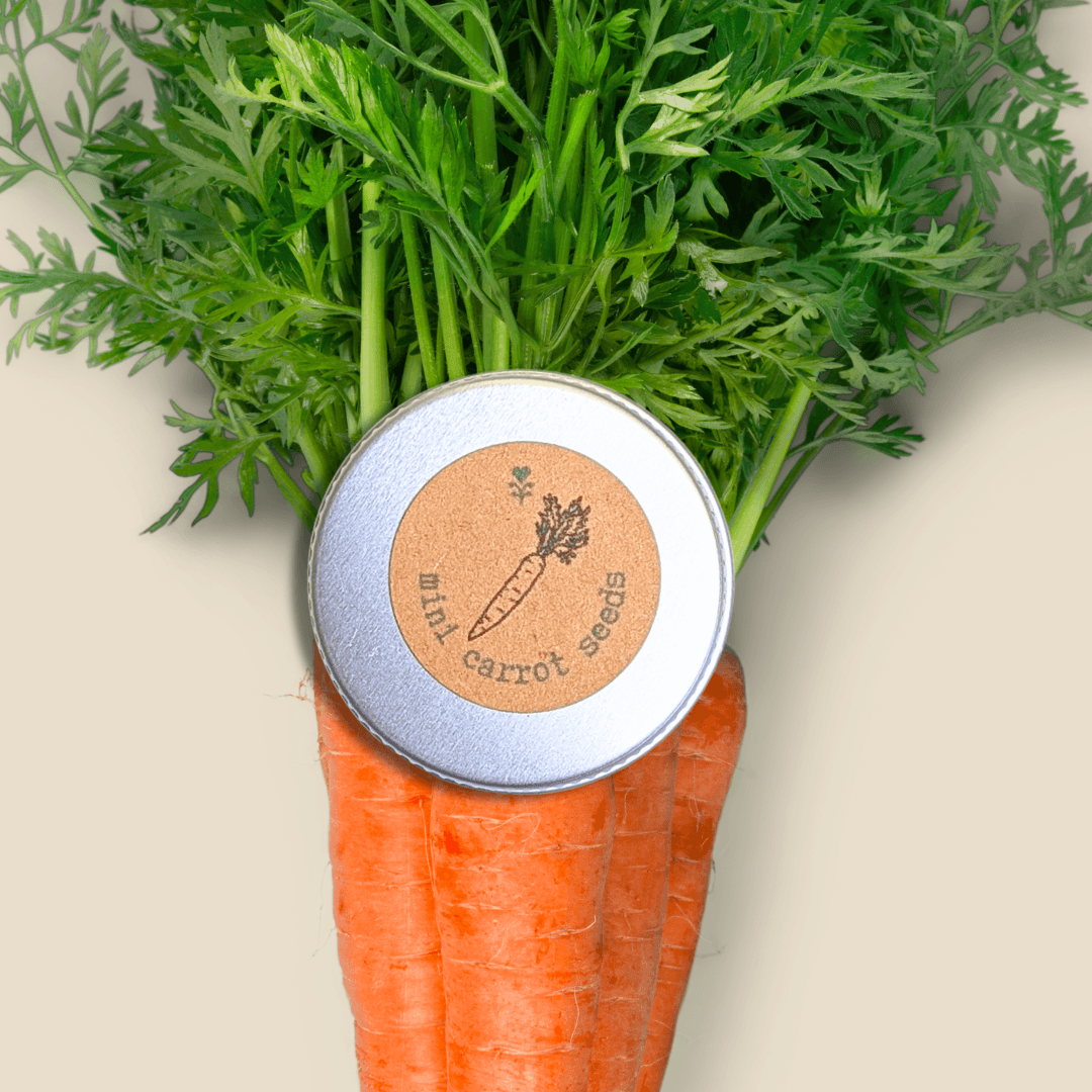 Carrot “Little Fingers” seed tin with orange carrots and green leafy tops