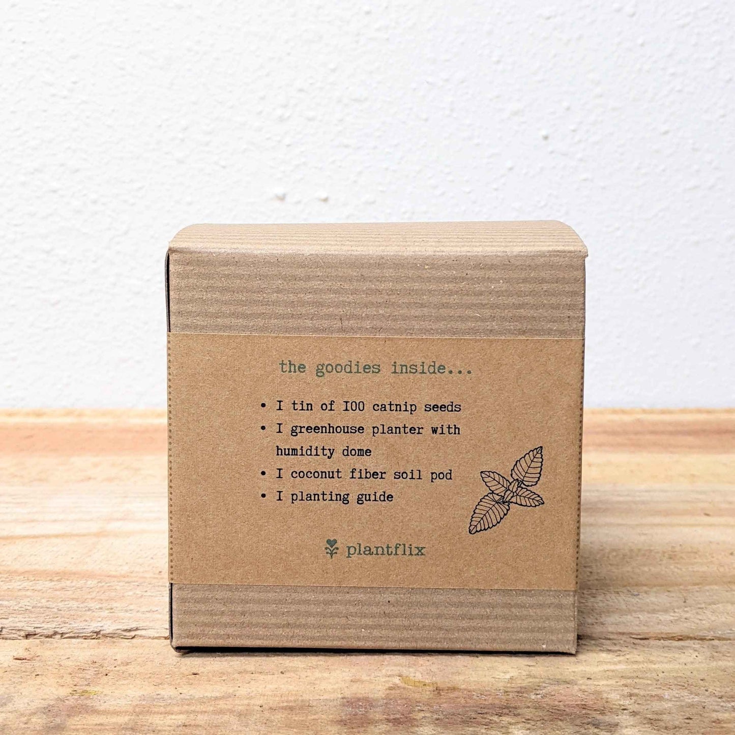 Catnip seed kit box panel with contents list and leaf illustration