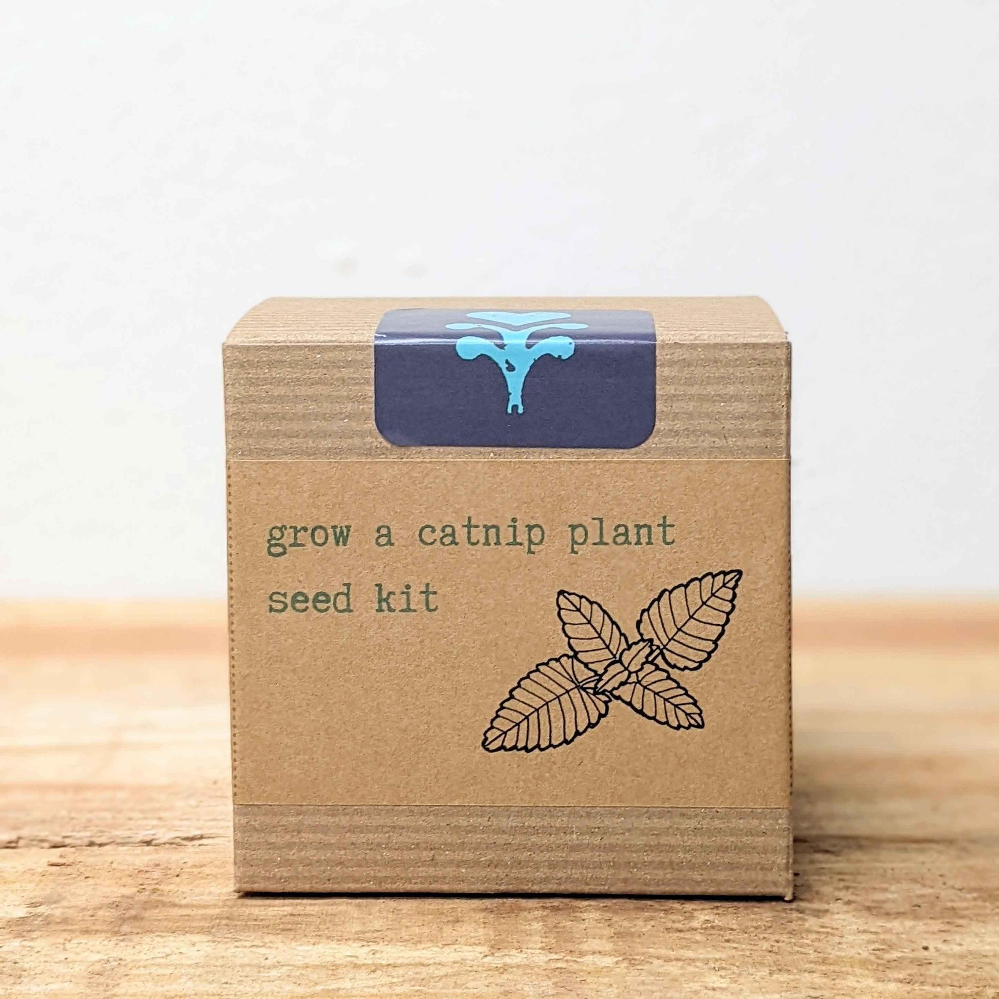 Catnip seed kit box, front view, blue top label with cat silhouette