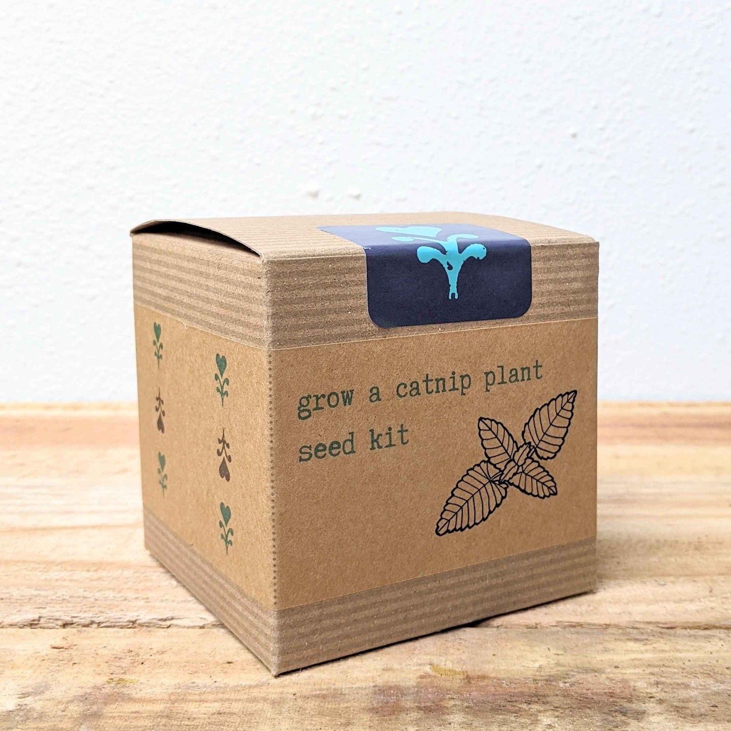 Catnip seed kit box with blue top and grow-a-catnip-plant label