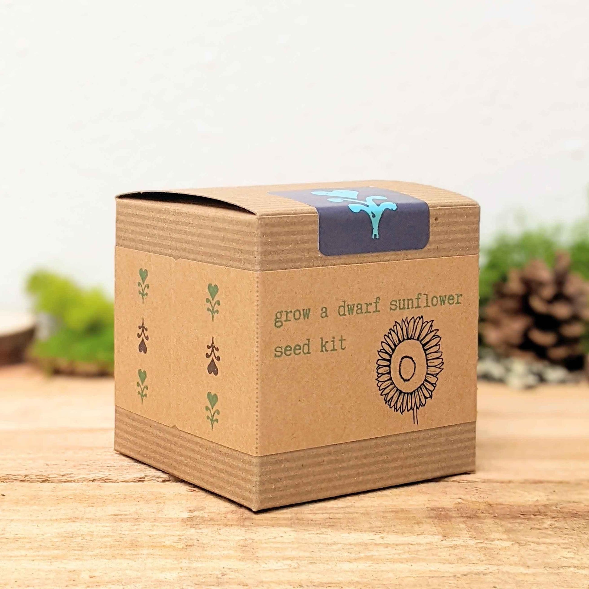 Dwarf sunflower seed kit box with lid handle and sunflower artwork