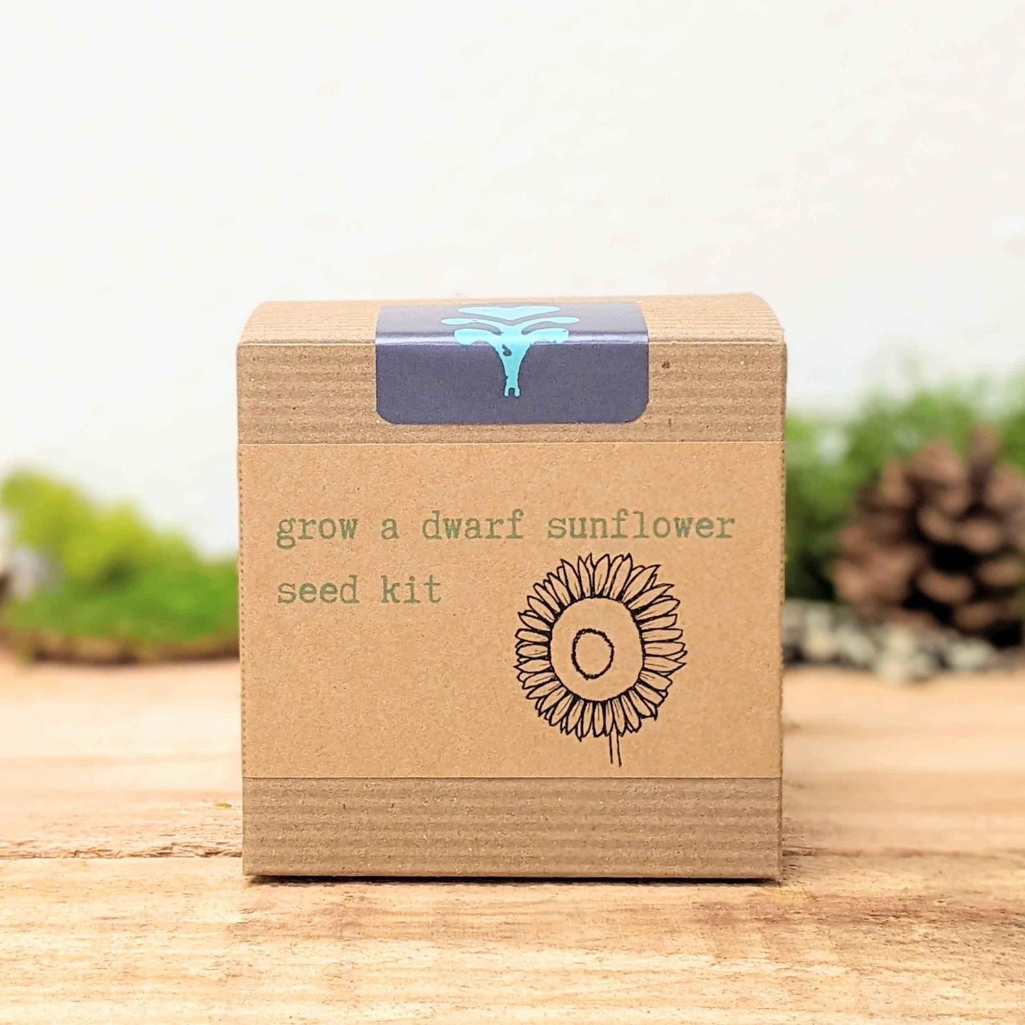 Dwarf sunflower seed kit box front with sunflower graphic and blue logo badge