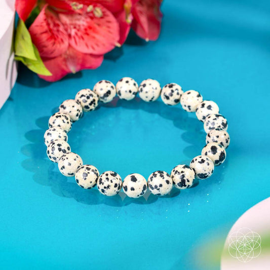 Dalmatian jasper bead bracelet, round white beads with black speckles