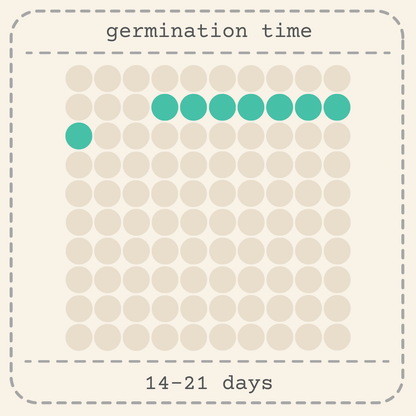 Germination guide: 14–21 days, seed spacing diagram