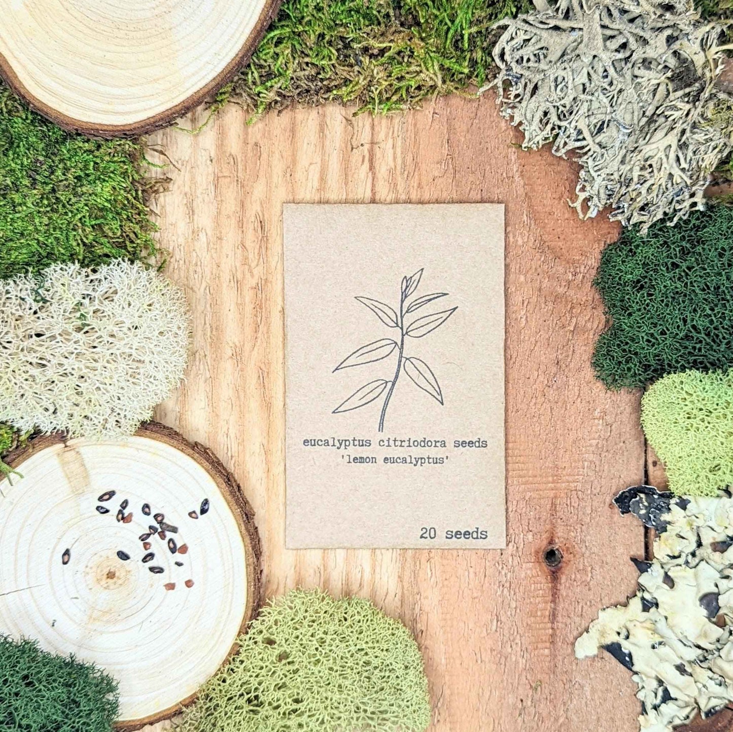 Lemon eucalyptus seed packet on wooden slices with a few seeds visible