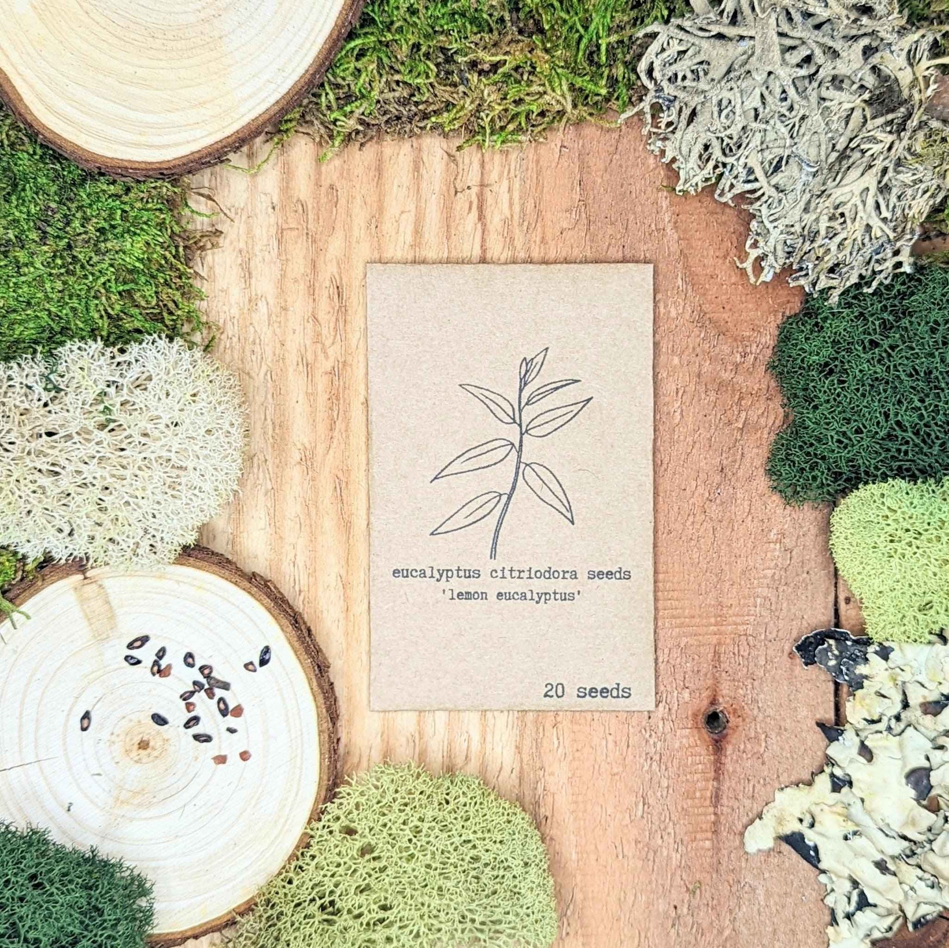 Lemon eucalyptus seed packet on wooden slices with a few seeds visible