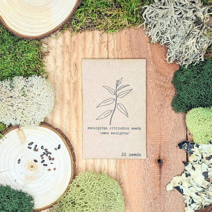 Lemon eucalyptus seed packet on wooden slices with a few seeds visible