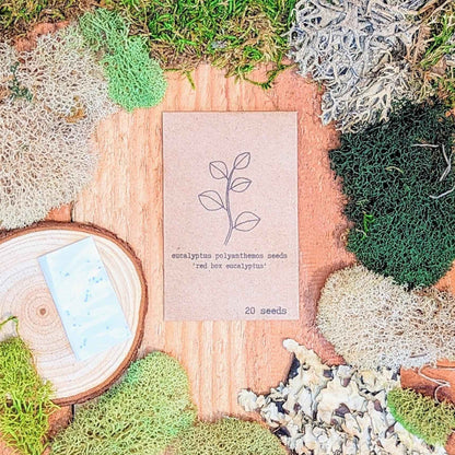Eucalyptus Polyanthemos 'Silver Plate' seed packet, Plantflix, 20 seeds