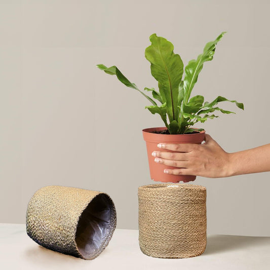 Handwoven jute planter baskets in natural tan, one upright and one on its side