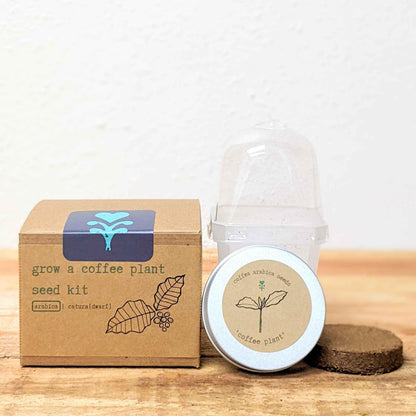 Coffee plant seed kit box with seed container and clear humidity dome