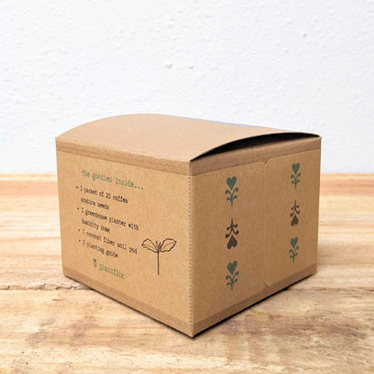 Grow a coffee plant seed kit carton with leaf and seed graphics