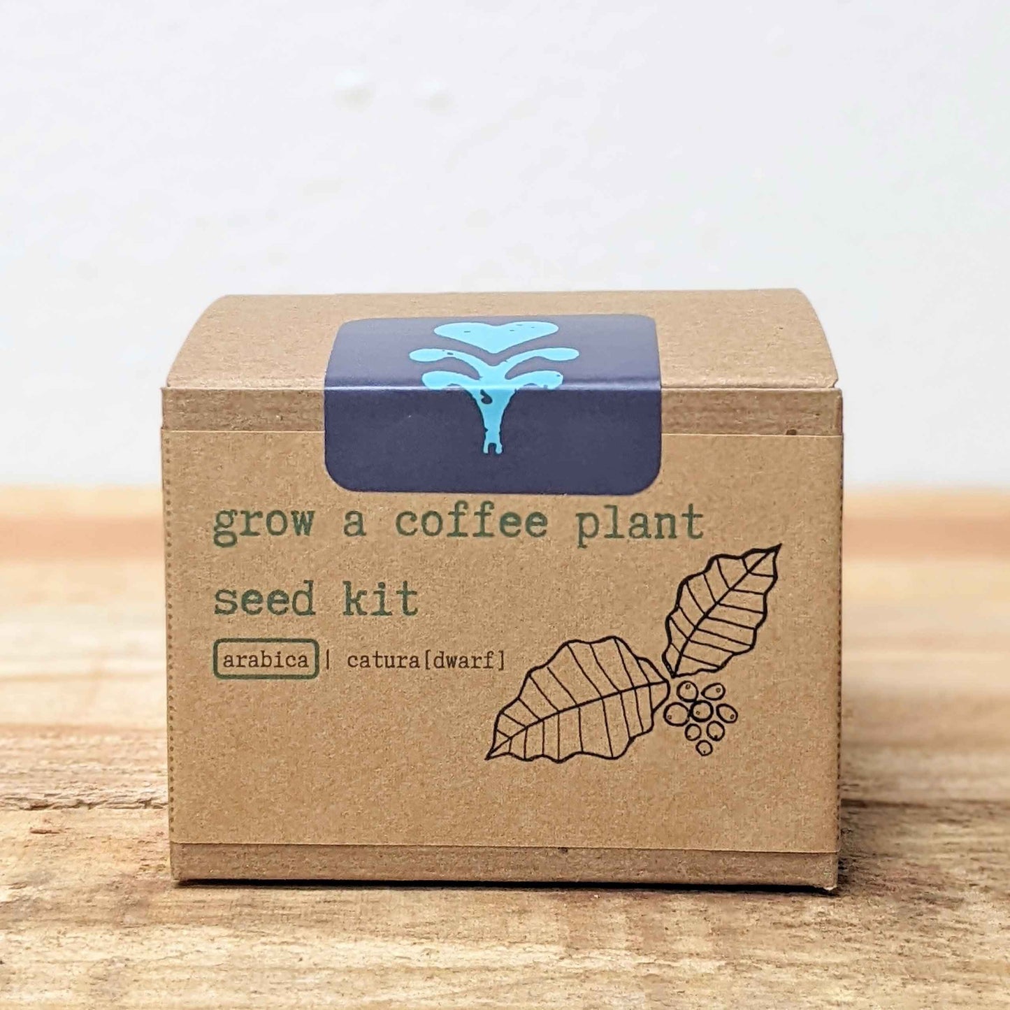 Coffee plant seed kit with Arabica catura (dwarf) label on carton