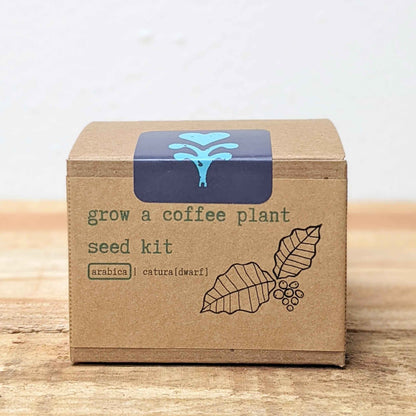 Coffee plant seed kit with Arabica catura (dwarf) label on carton