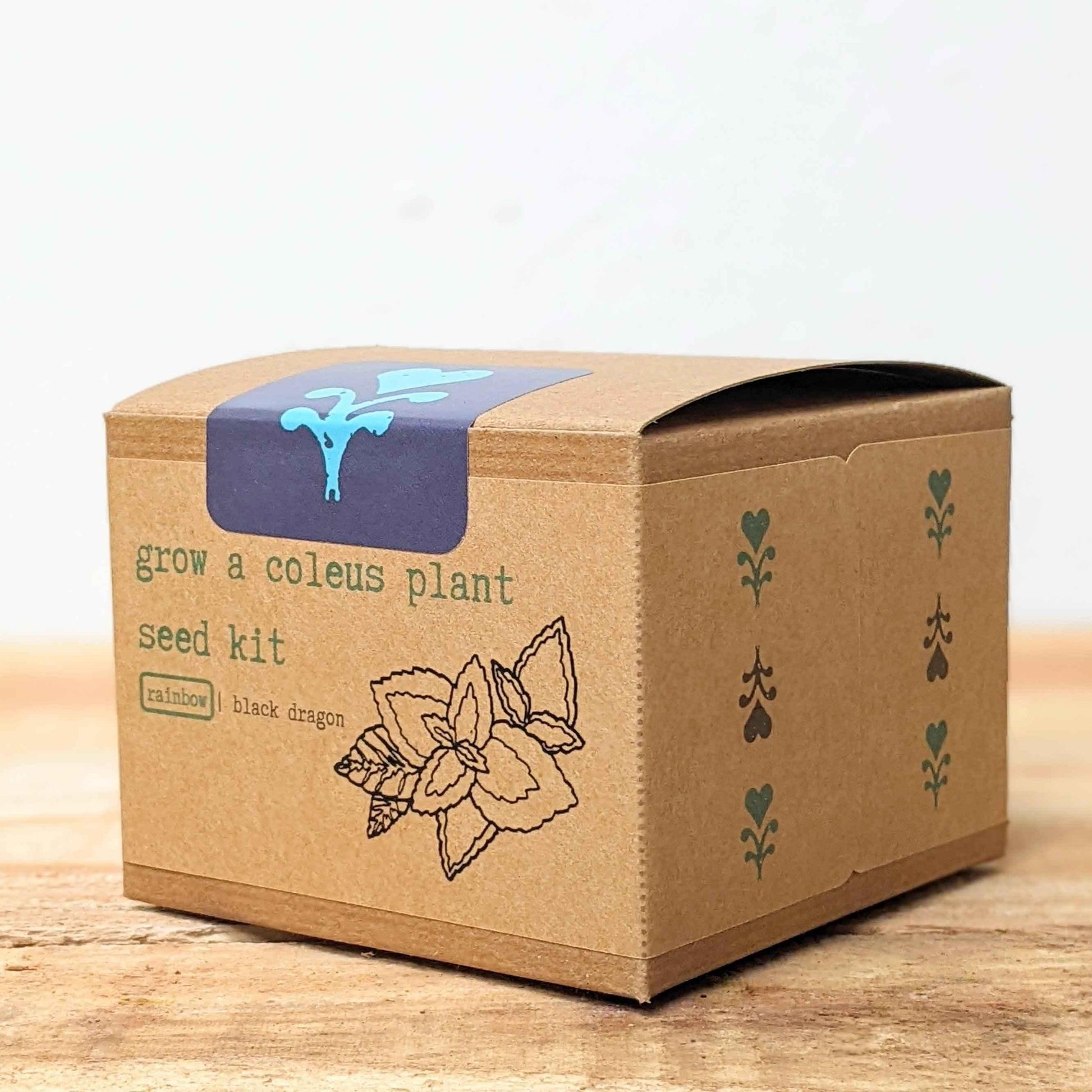 Coleus seed kit box with side pattern accents and illustrated coleus flower