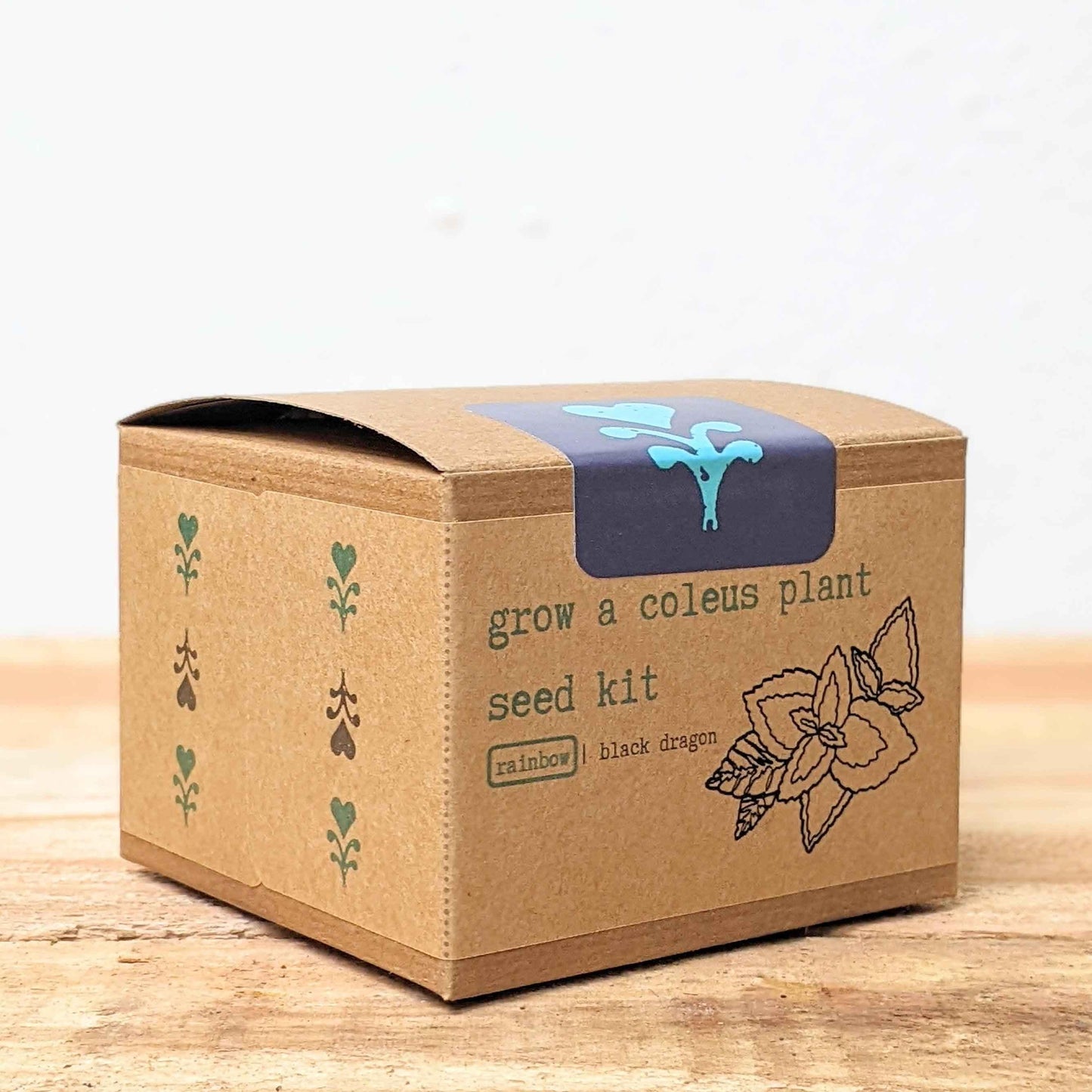 Coleus seed kit box with grow-and-plant label and illustrated flower on kraft packaging