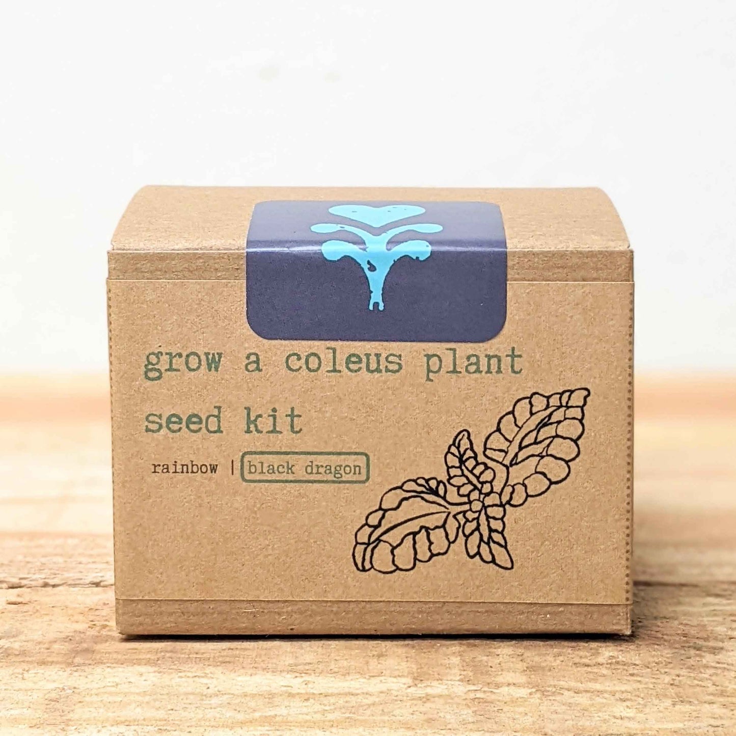 Coleus seed kit box front panel with rainbow and black dragon label and plant drawing