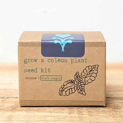 Coleus seed kit box front panel with rainbow and black dragon label and plant drawing