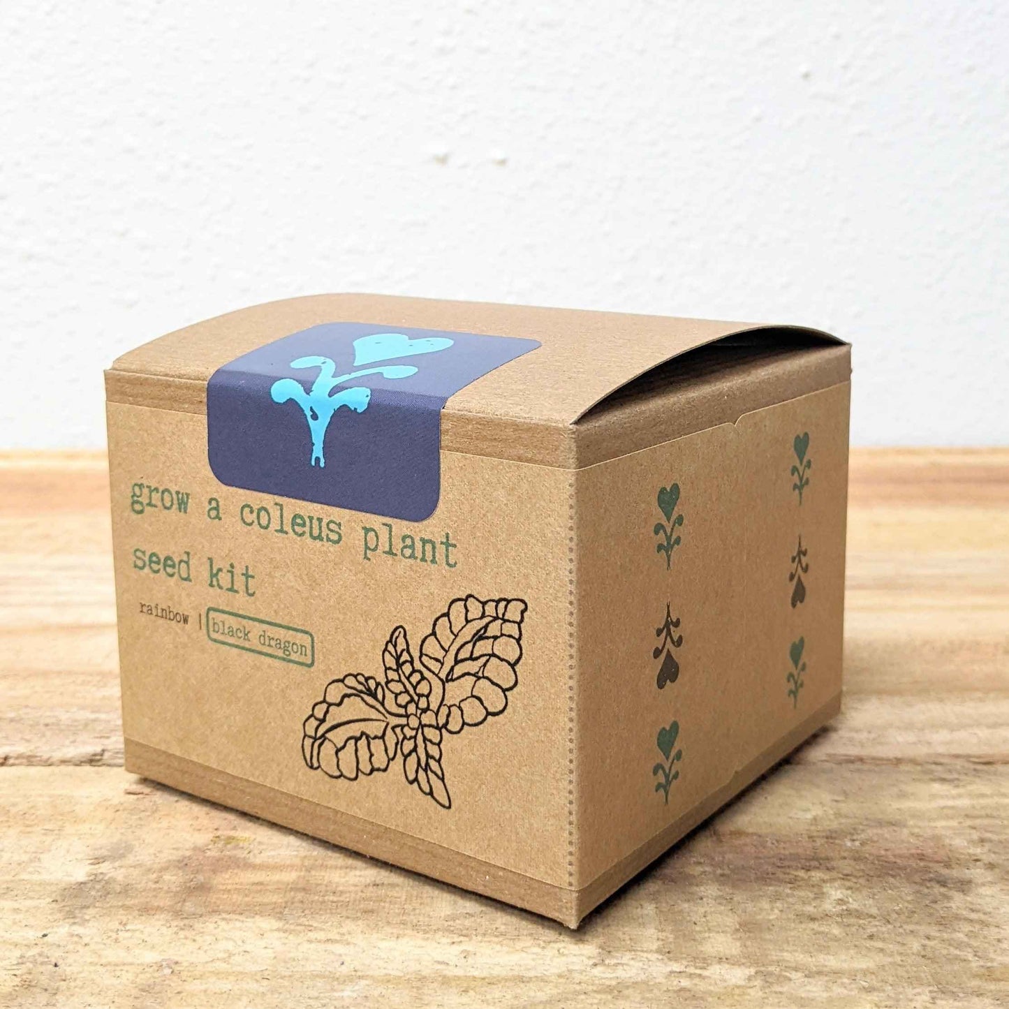 Coleus seed kit side panel with green sprout icons and black dragon flower illustration