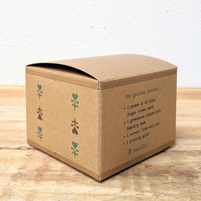 Coleus seed kit box side view with contents list for black dragon coleus seeds