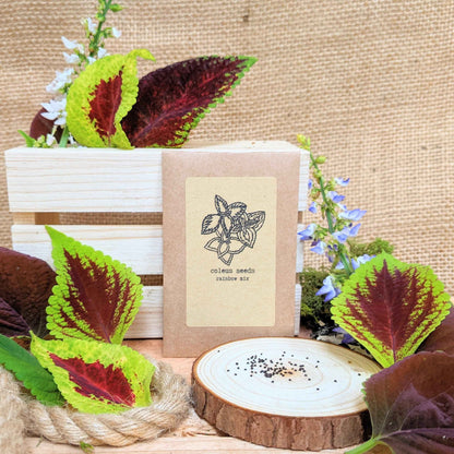 Coleus seed kit with seed packet, soil disk, and leafy coleus plants in tray