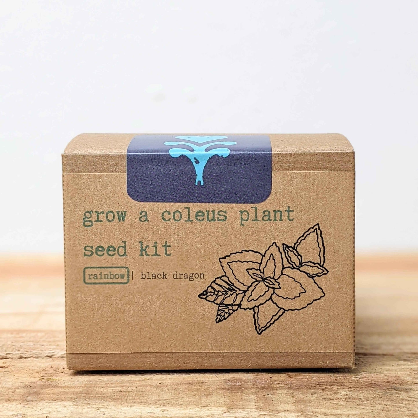 Coleus seed kit box with illustrated coleus flower and grow-your-kit label
