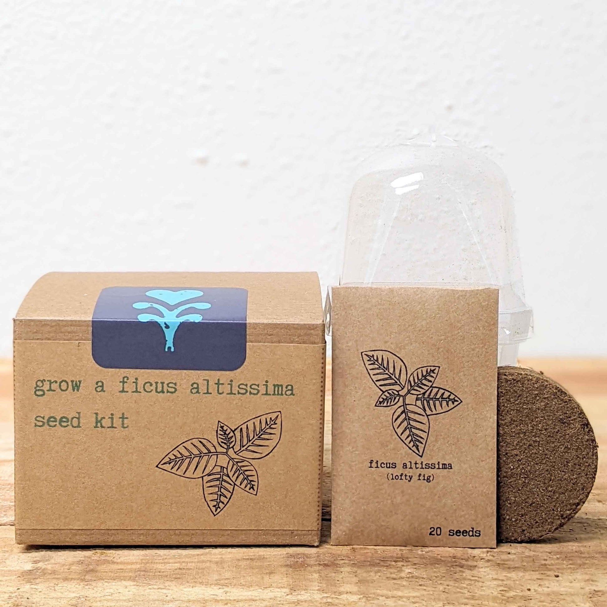 Seed kit box with Ficus altissima label and separate pack beside soil pod