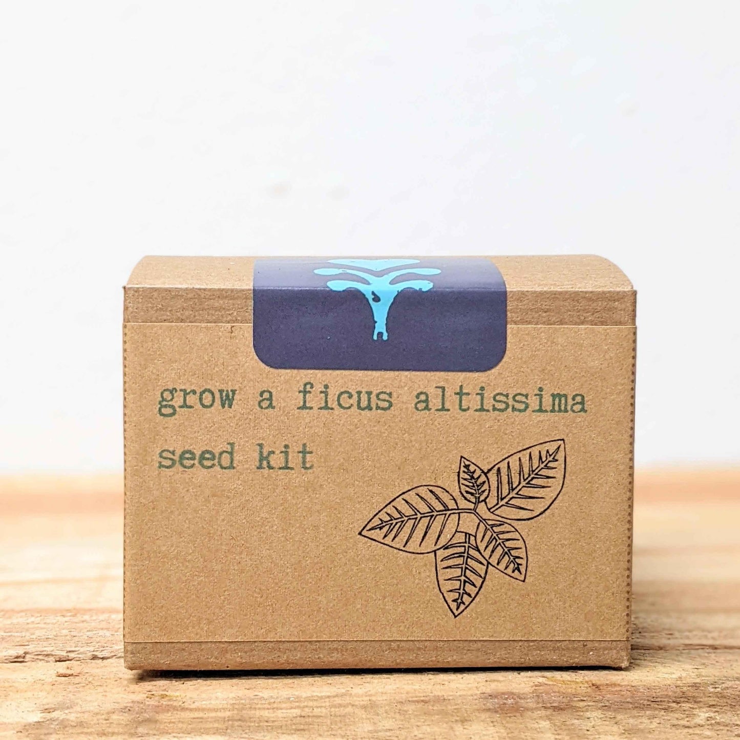 Seed kit box front view: grow a ficus altissima seed kit with leaf logo