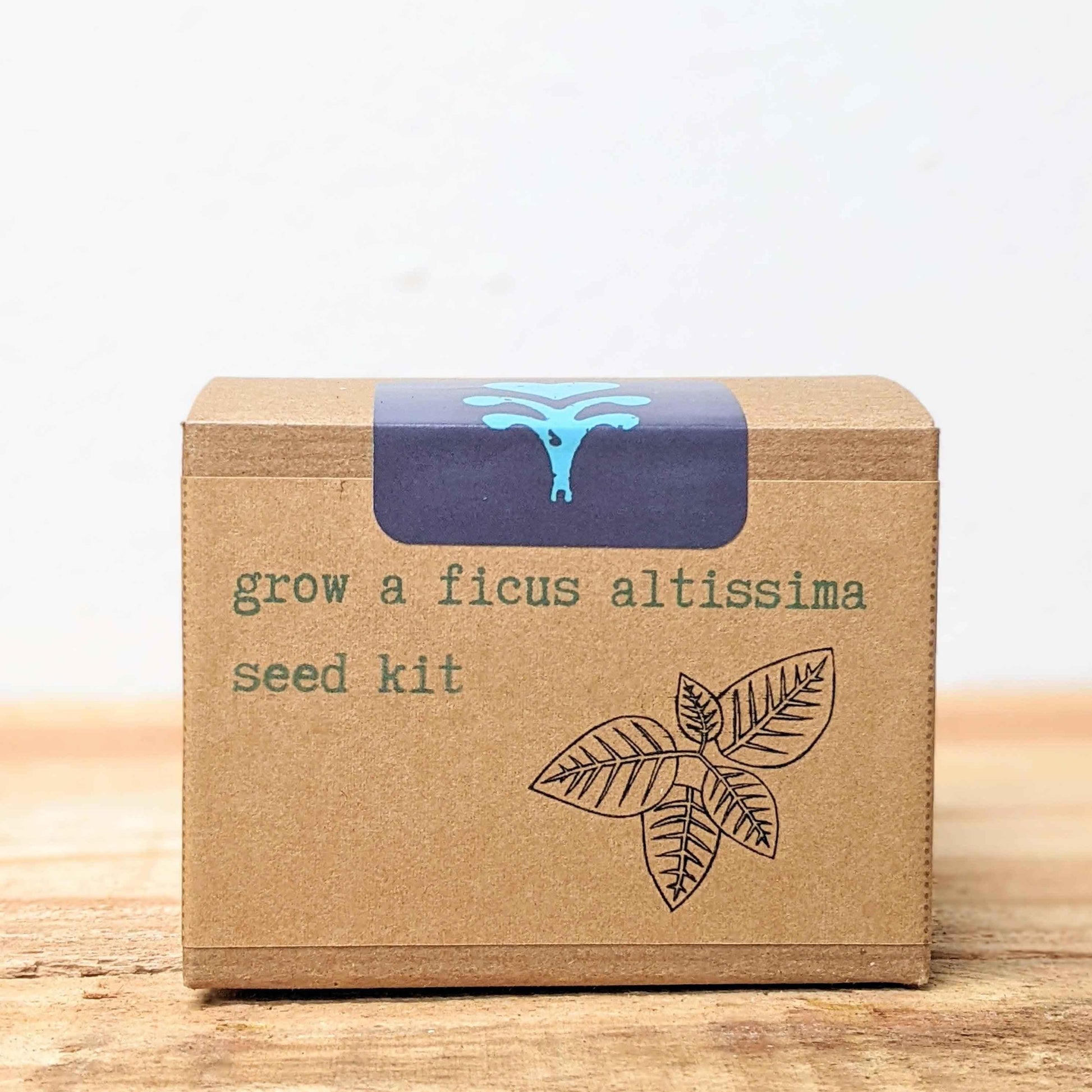 Seed kit box front view: grow a ficus altissima seed kit with leaf logo