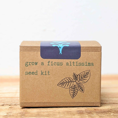 Seed kit box front view: grow a ficus altissima seed kit with leaf logo