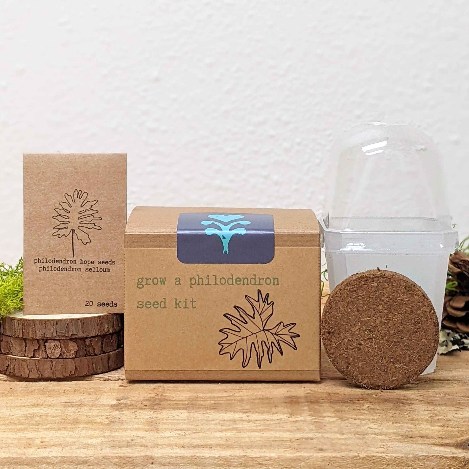 Seed kit box with seed packet and coconut fiber pod in a clear container