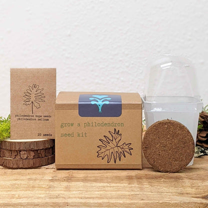 Seed kit box with seed packet and coconut fiber pod in a clear container