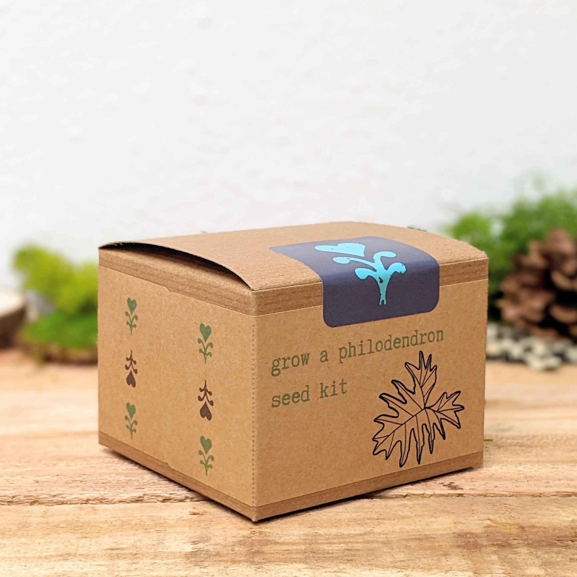 Philodendron seed kit cardboard box with blue window and tree icon