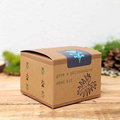 Philodendron seed kit cardboard box with blue window and tree icon
